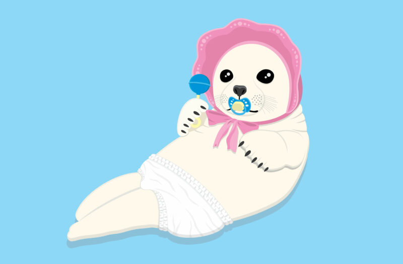 Baby Seal Free Stock Vector